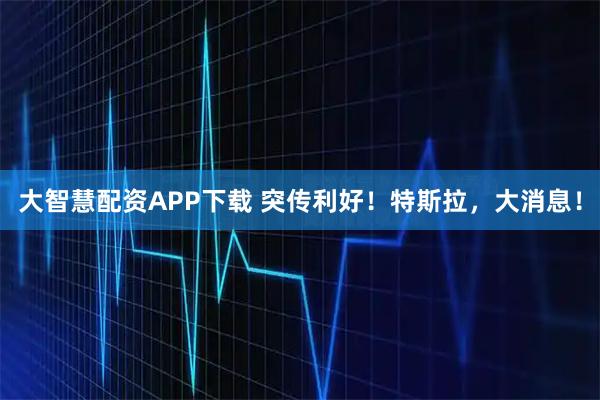 大智慧配资APP下载 突传利好！特斯拉，大消息！