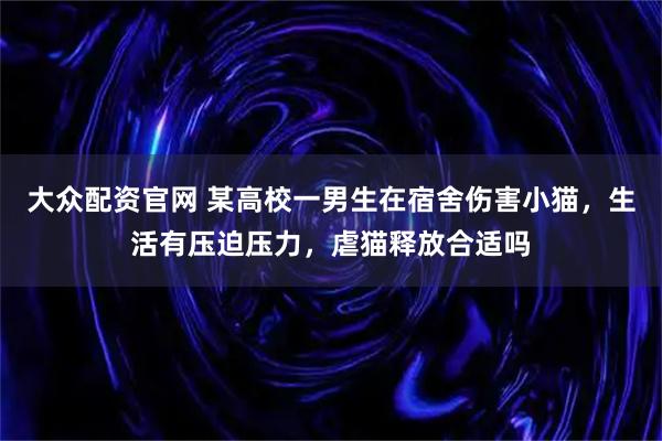 大众配资官网 某高校一男生在宿舍伤害小猫，生活有压迫压力，虐猫释放合适吗