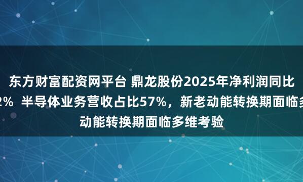 东方财富配资网平台 鼎龙股份2025年净利润同比增38.32%  半导体业务营收占比57%，新老动能转换期面临多维考验